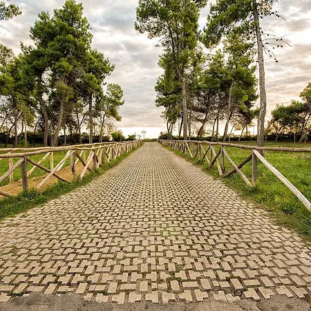 Elena 3* Montesilvano Marina