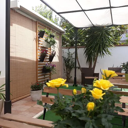 Nocleg ze śniadaniem Elena Montesilvano Marina